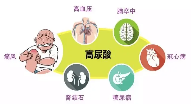 富贵病,富贵命,高血压,冠心病,糖尿病,肥胖症,痛风