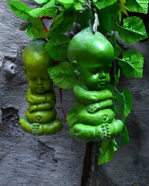 绿色神奇降糖植物