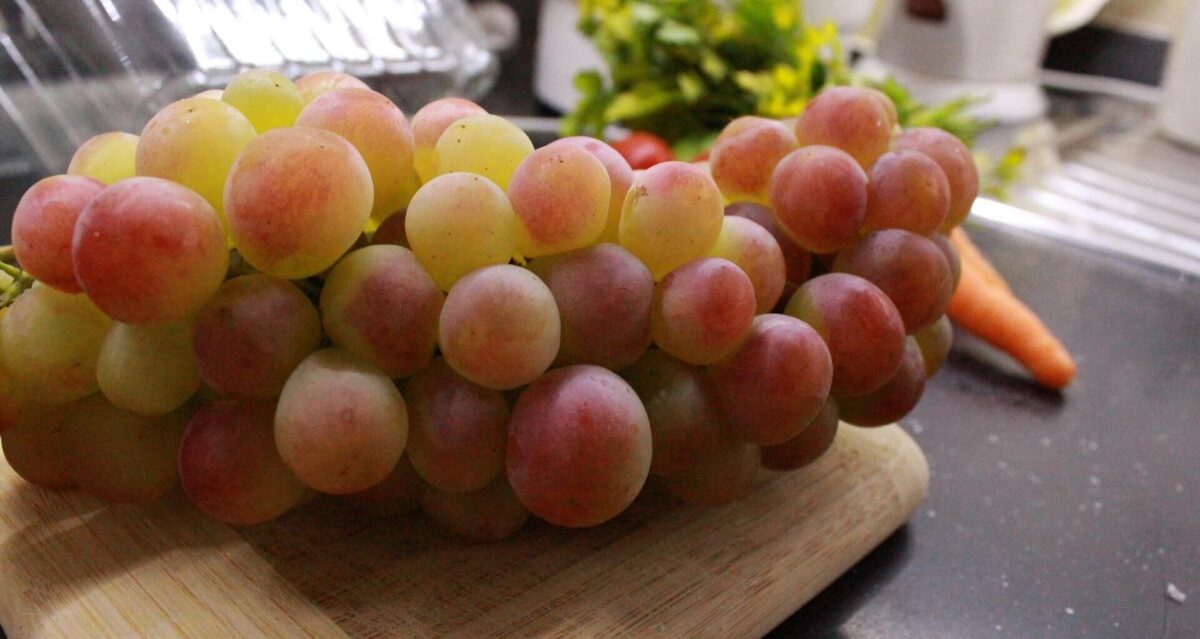 grape seed extract