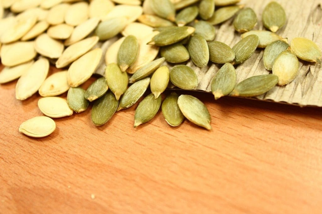 pumpkin seeds