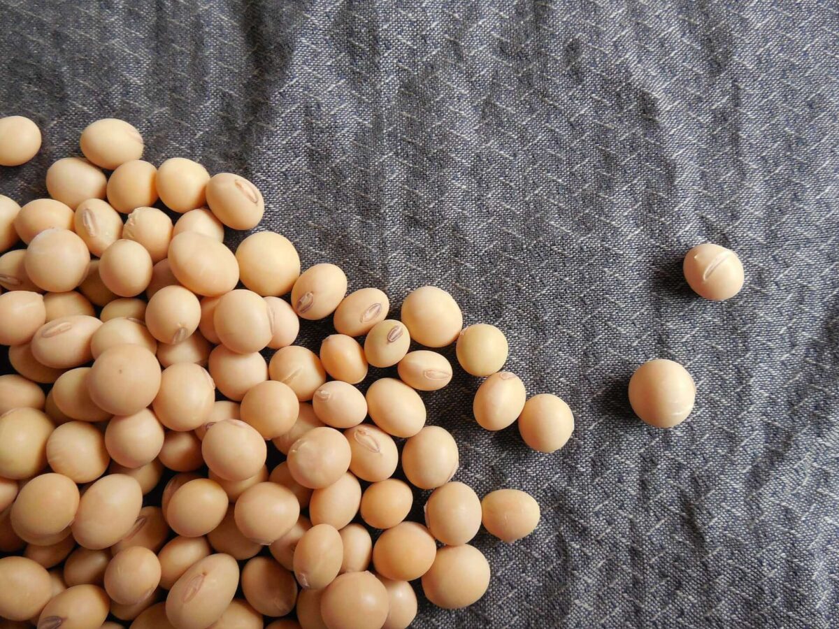卵磷脂 (Lecithin)
