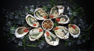 oysters