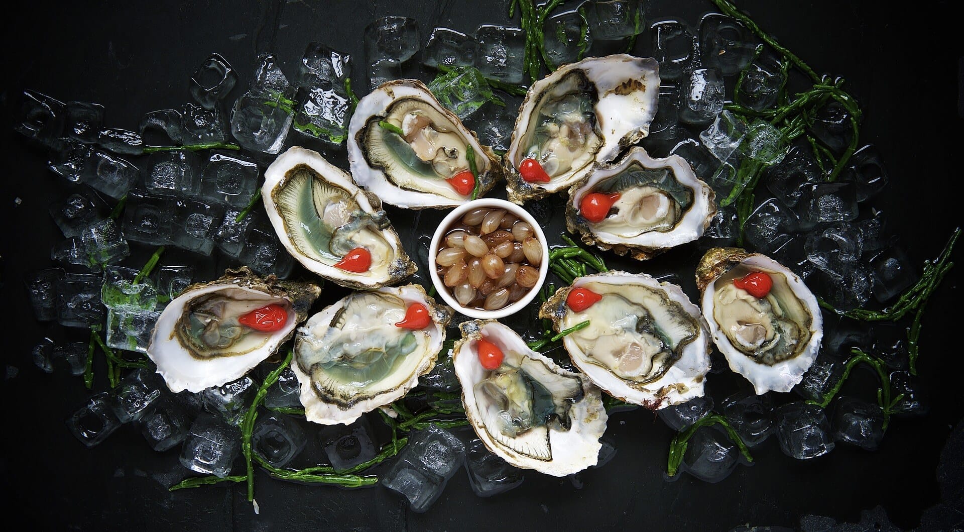 oysters